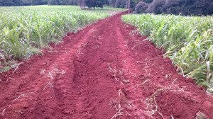 Rede de agua Rincao Doce